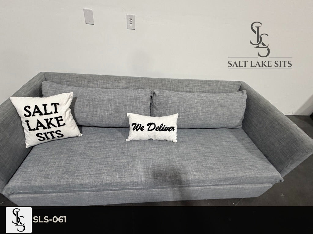 West Elm Sleeper Sofa