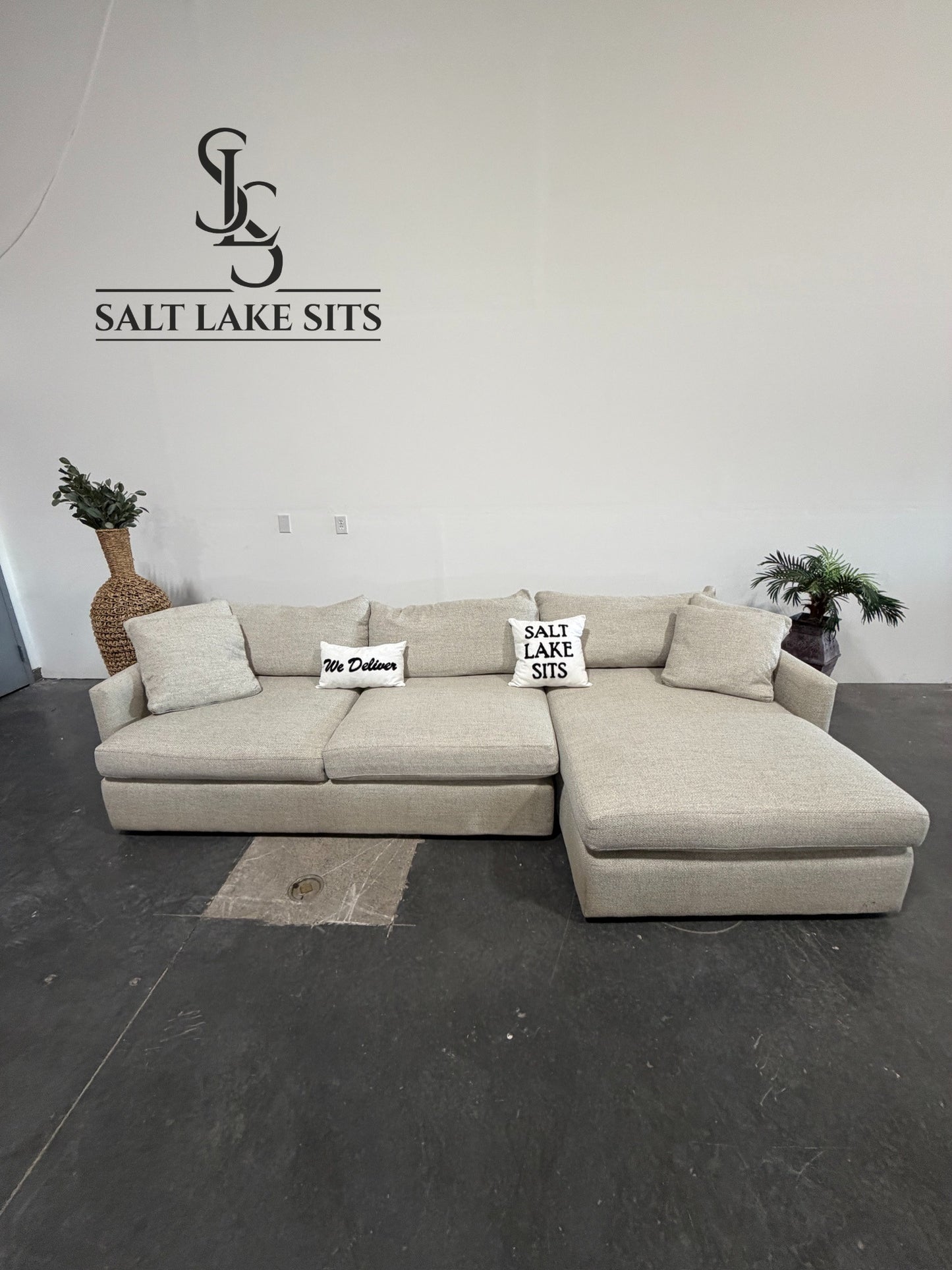 Crate & Barrel Lounge Deep Sectional