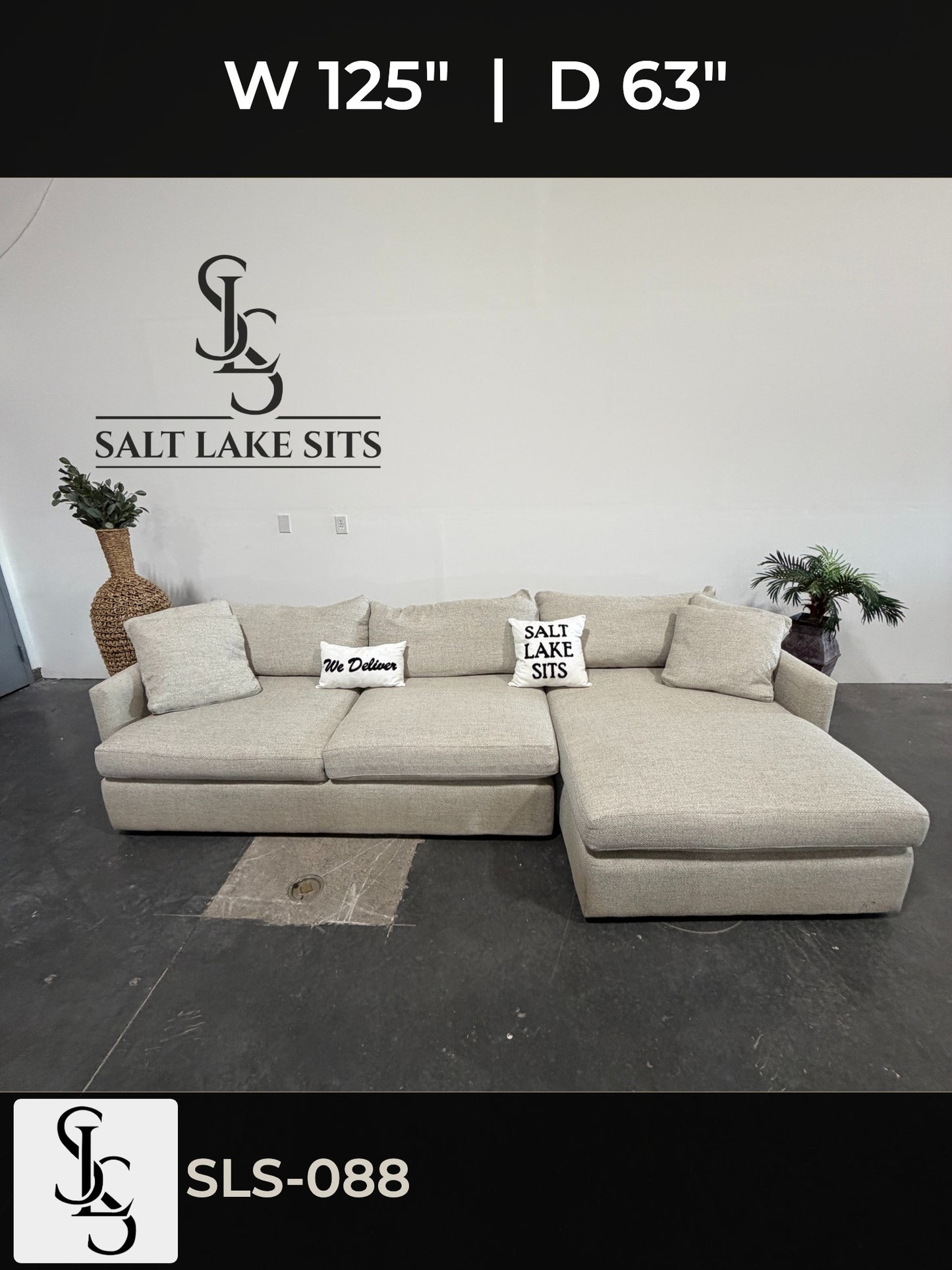 Crate & Barrel Lounge Deep Sectional